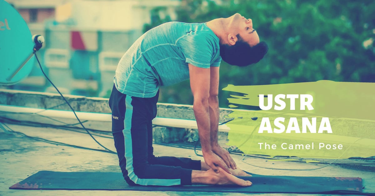 Ustrasana (Camel Pose) - Yoga with Ankush