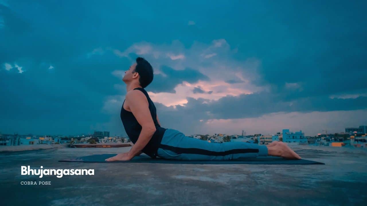 Bhujangasana or Cobra Pose