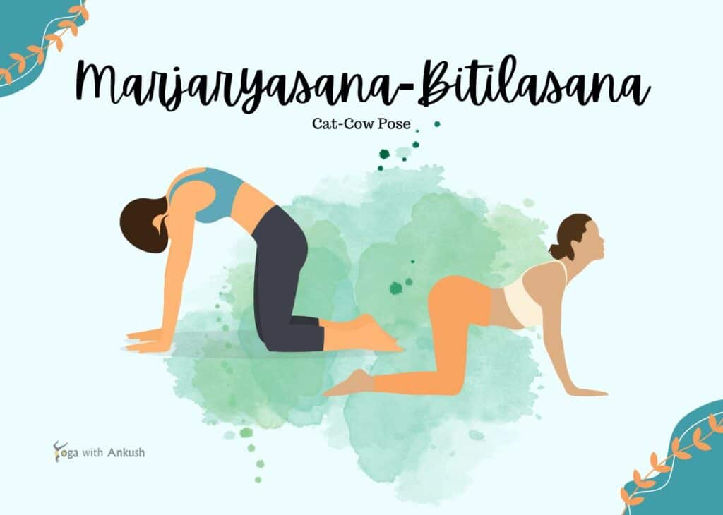 Marjaryasana-Bitilasana