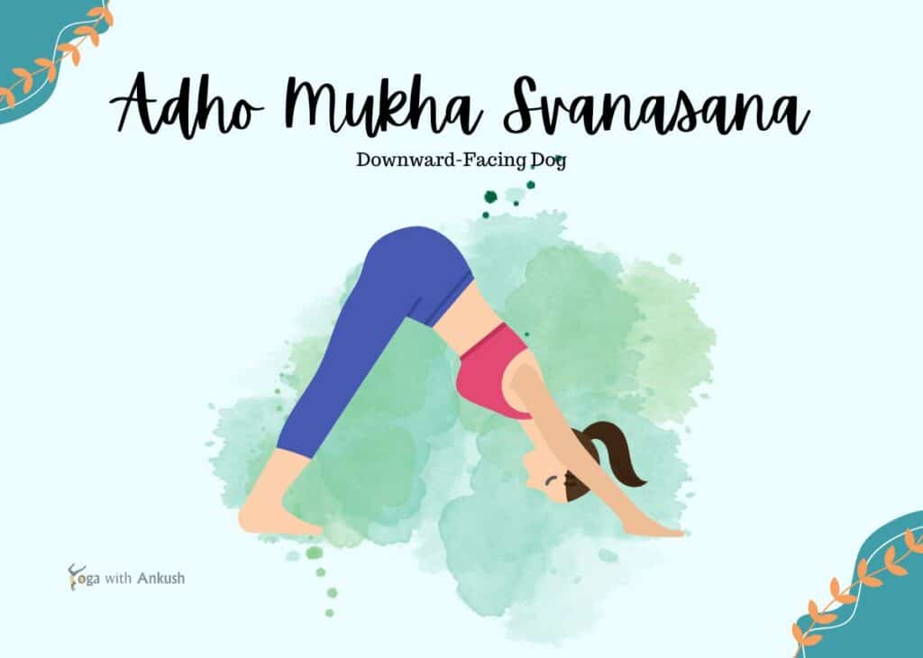Yoga Poses to Do in the Morning - Downward-Facing Dog (Adho Mukha Svanasana)