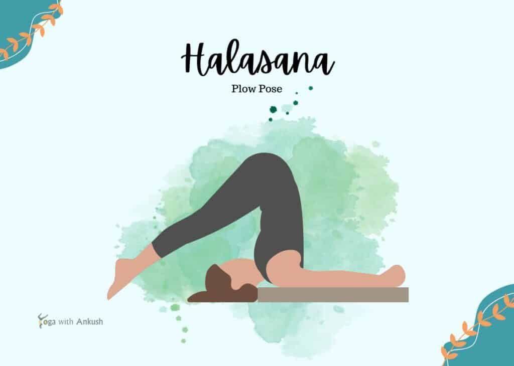 Plow Pose (Halasana)