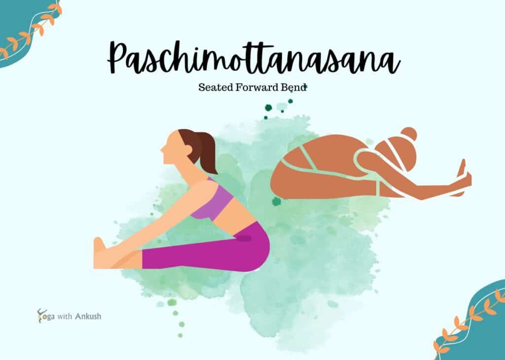 Seated Forward Bend (Paschimottanasana)