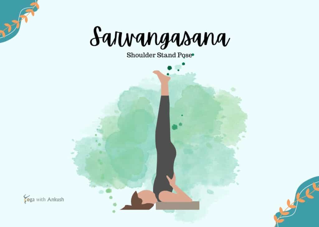 70+ Sanskrit words you need to know for your yoga practice — Katia Yoga