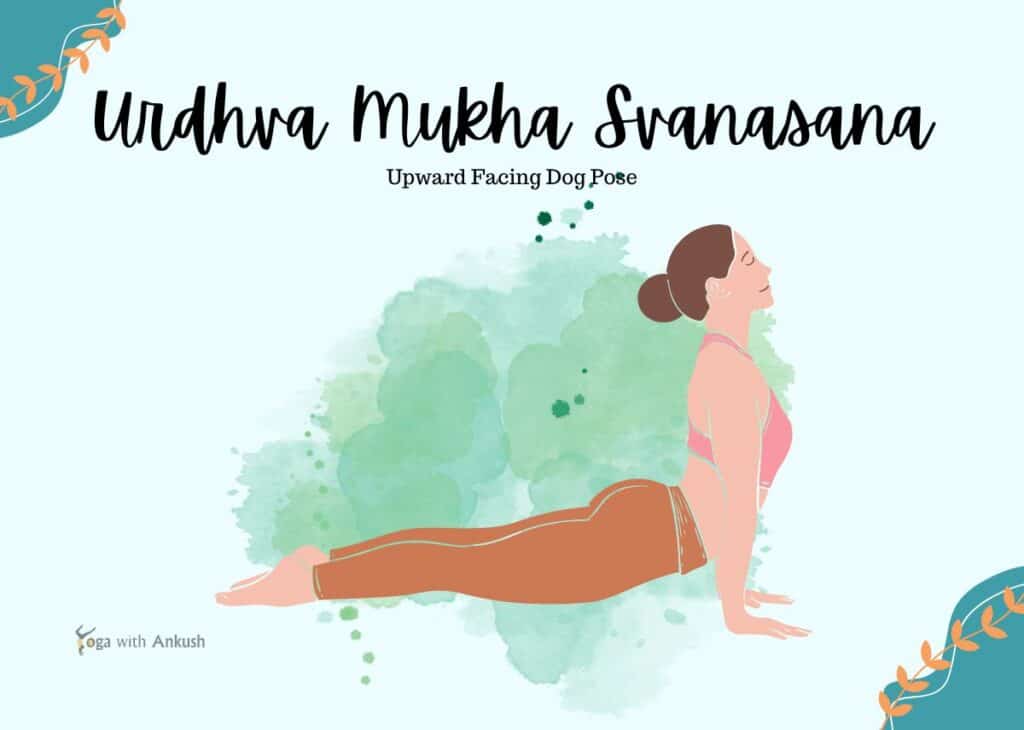 Upward Facing Dog Pose (Urdhva Mukha Svanasana)