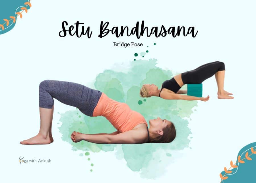 Unwind and Rejuvenate: A Yoga Flow for Back Health