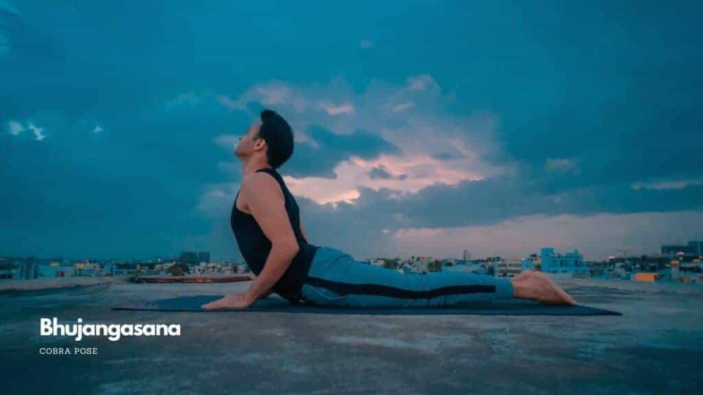 Yoga for Hormonal Balance: Unveiling Your Inner Balance with Asanas for PCOS and Thyroid Management Bhujangasana or Cobra Pose