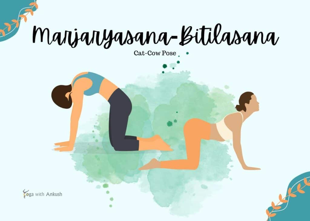 Marjaryasana-Bitilasana - Unwind and Rejuvenate: A Yoga Flow for Back Health