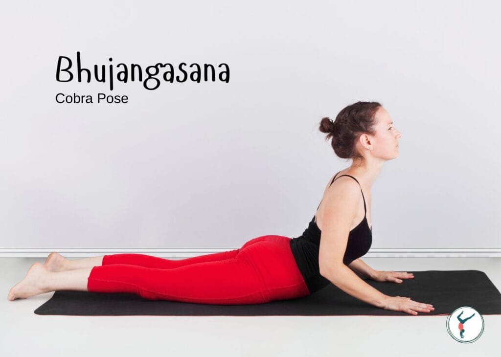 Yoga Cobra Pose for spinal flexibility | Yoga with Ankush.