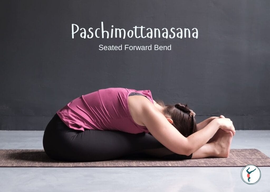 Seated Forward Bend (Paschimottanasana)
