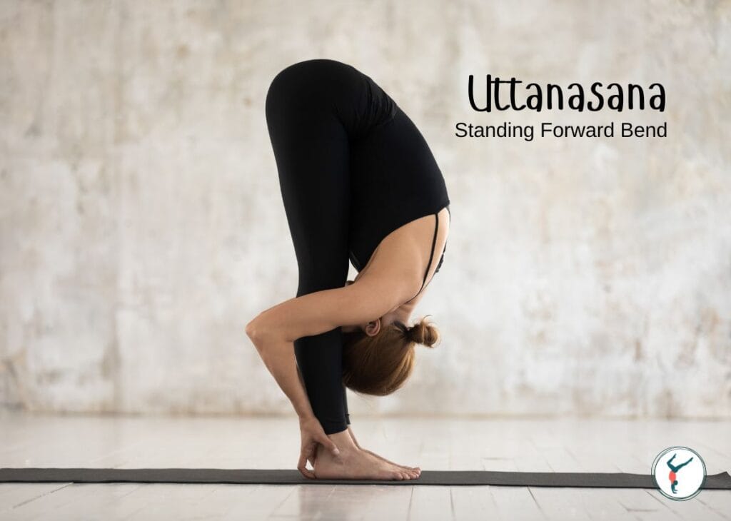 Standing Forward Bend (Uttanasana)