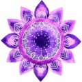 Contributor - Yoga with Ankush