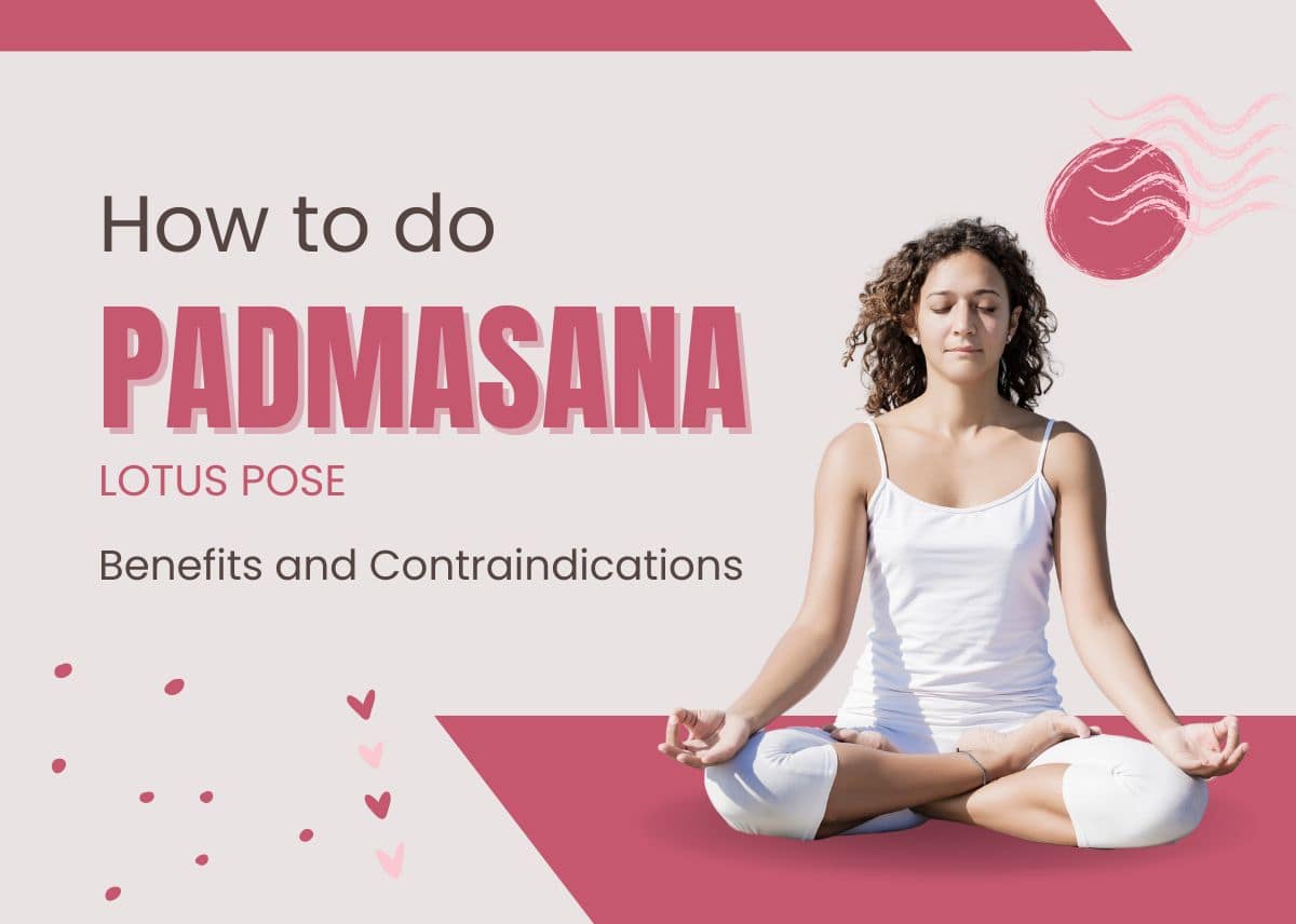How To Do Lotus Pose (Padmasana): Benefits And Contraindications - Yoga With  Ankush